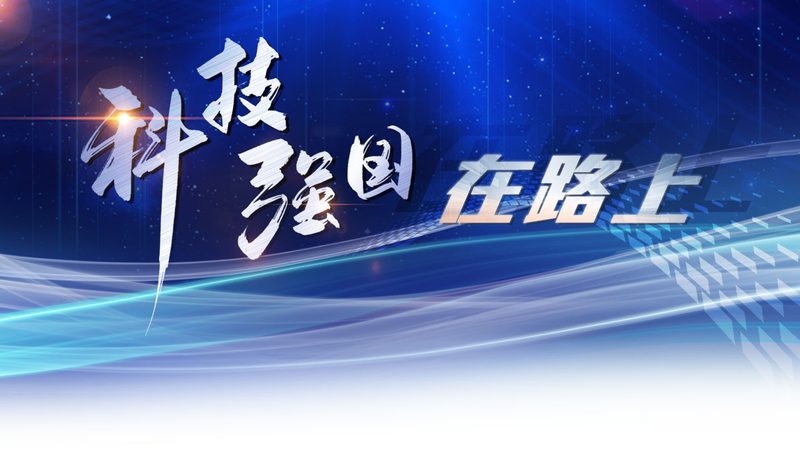 云服务续费代理，价格背后的考量因素